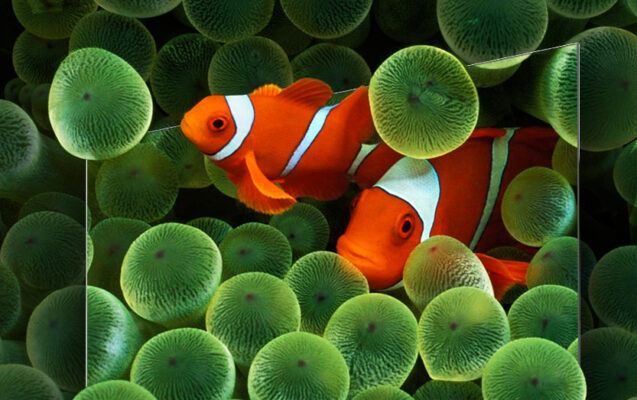 thiet ke hien dai thiet ke hien dai